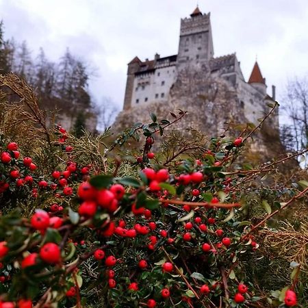 Pensiunea Antonio Bran Bran  Esterno foto