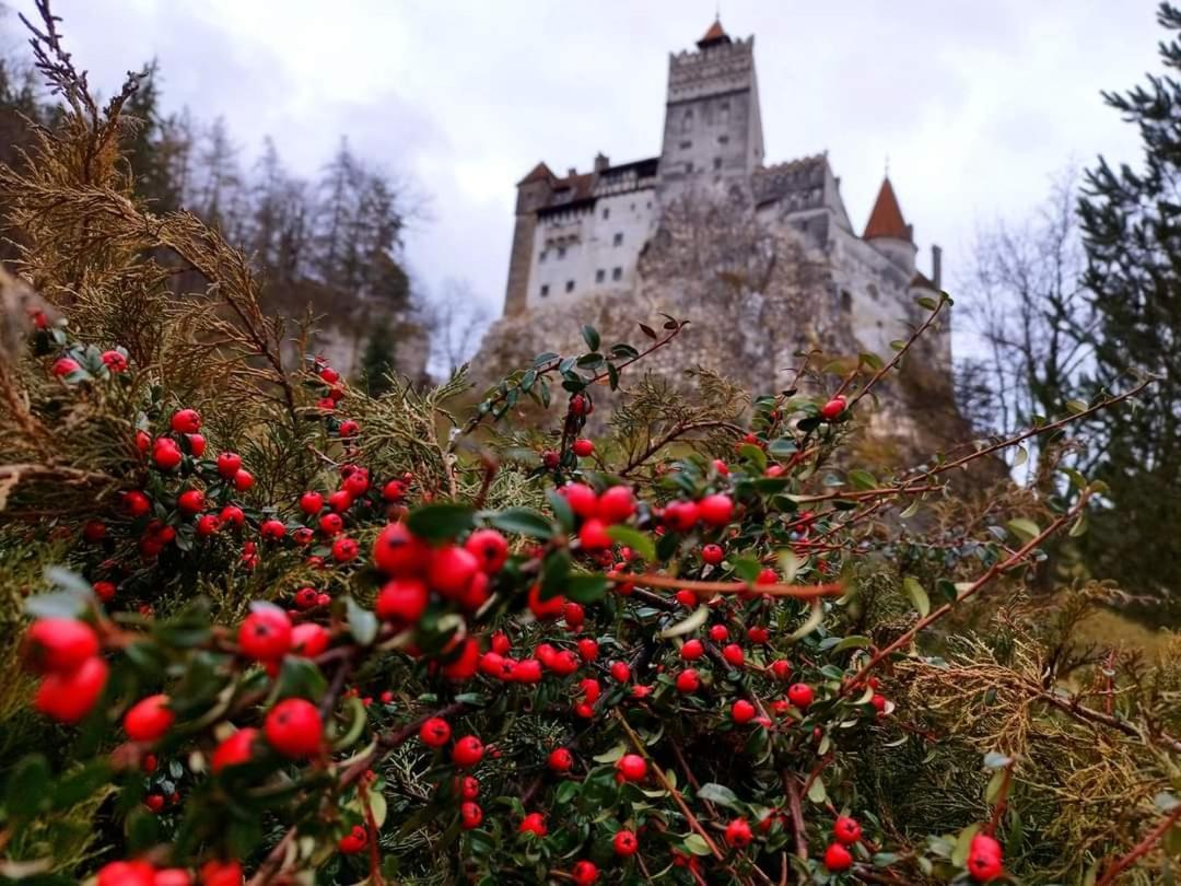 Pensiunea Antonio Bran Bran  Esterno foto